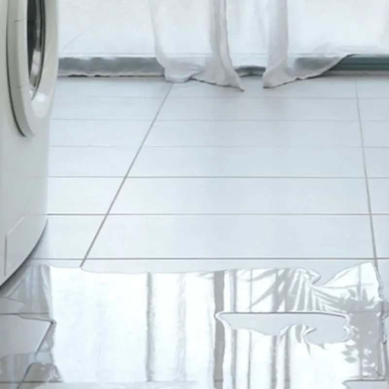 Appliance Leak Cleanup in Nashville, WI
