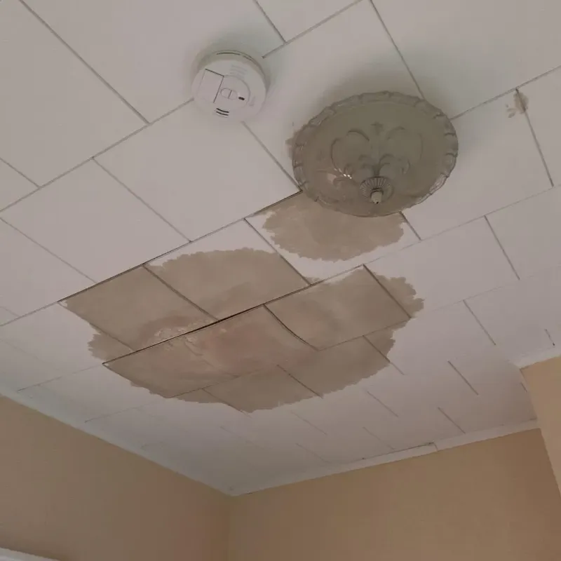 Ceiling Water Damage Repair in Nashville, WI
