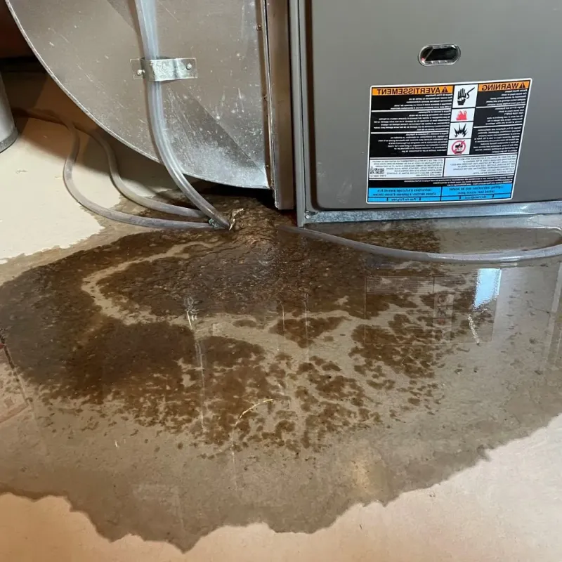 Pipe Burst and Leak Restoration in Nashville, WI
